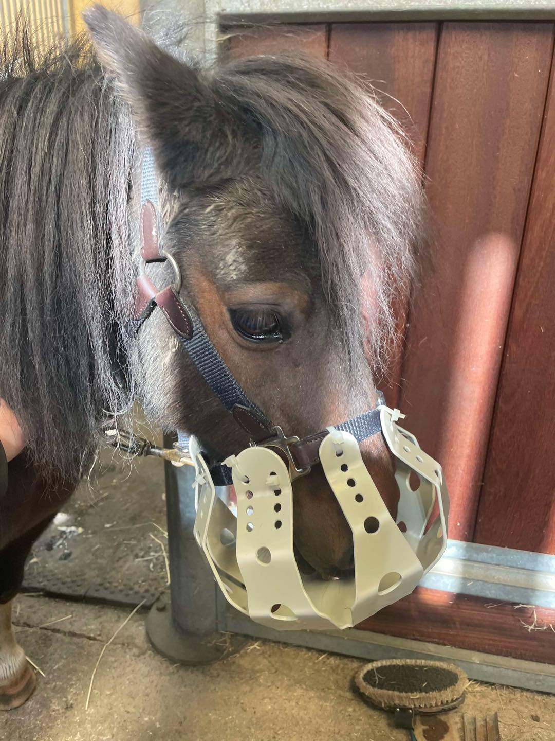 Breezy Grazer ® - Image 3