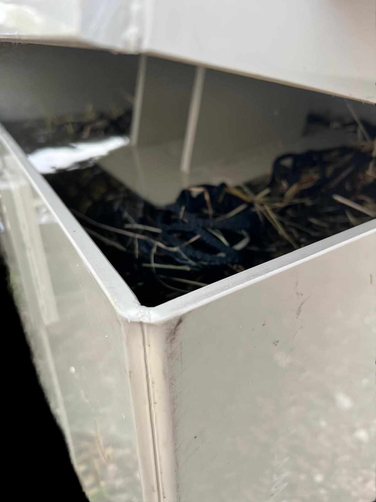 Hay Soaker - one horse - Image 9